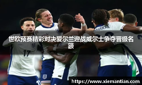 世欧预赛精彩对决爱尔兰迎战威尔士争夺晋级名额