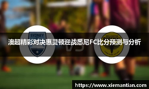 澳超精彩对决惠灵顿迎战悉尼FC比分预测与分析